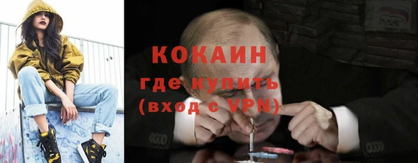молекула духа Алексин