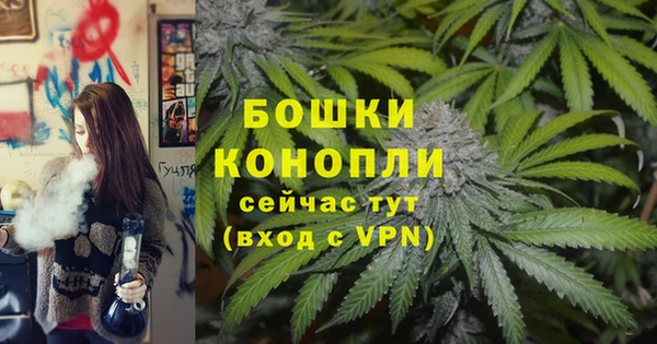 дживик Навашино