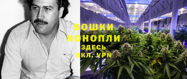 молекула духа Алексин