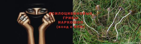 молекула духа Алексин